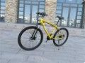 BMW Cross Country Mountain Bike Double Disc Brake (Option: Gold-26inches by 17inches)